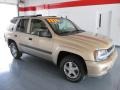 2005 Sandstone Metallic Chevrolet TrailBlazer LS  photo #6