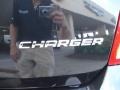 Brilliant Black Crystal Pearl - Charger SE Photo No. 14