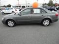 Willow Gray - Sonata GLS Photo No. 2