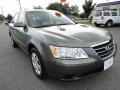 Willow Gray - Sonata GLS Photo No. 7