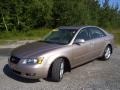 Golden Beige - Sonata LX V6 Photo No. 1
