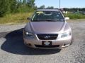 Golden Beige - Sonata LX V6 Photo No. 2