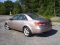 Golden Beige - Sonata LX V6 Photo No. 5