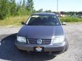 Platinum Grey Metallic - Jetta GL Sedan Photo No. 2