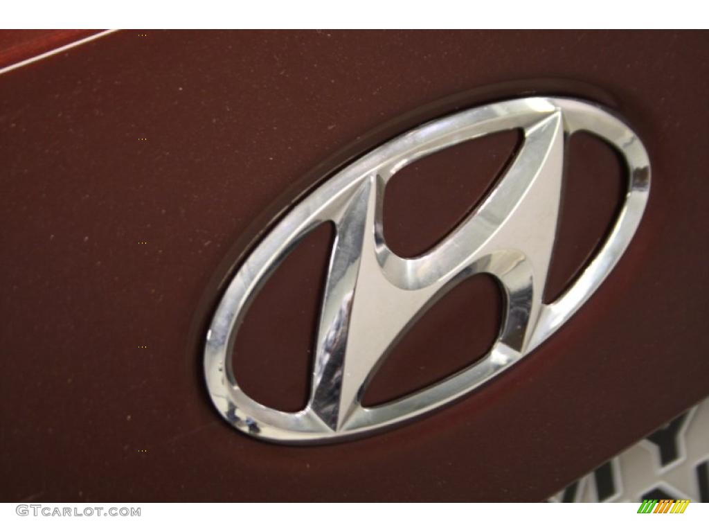 2009 Sonata GLS - Dark Cherry Red / Camel photo #36