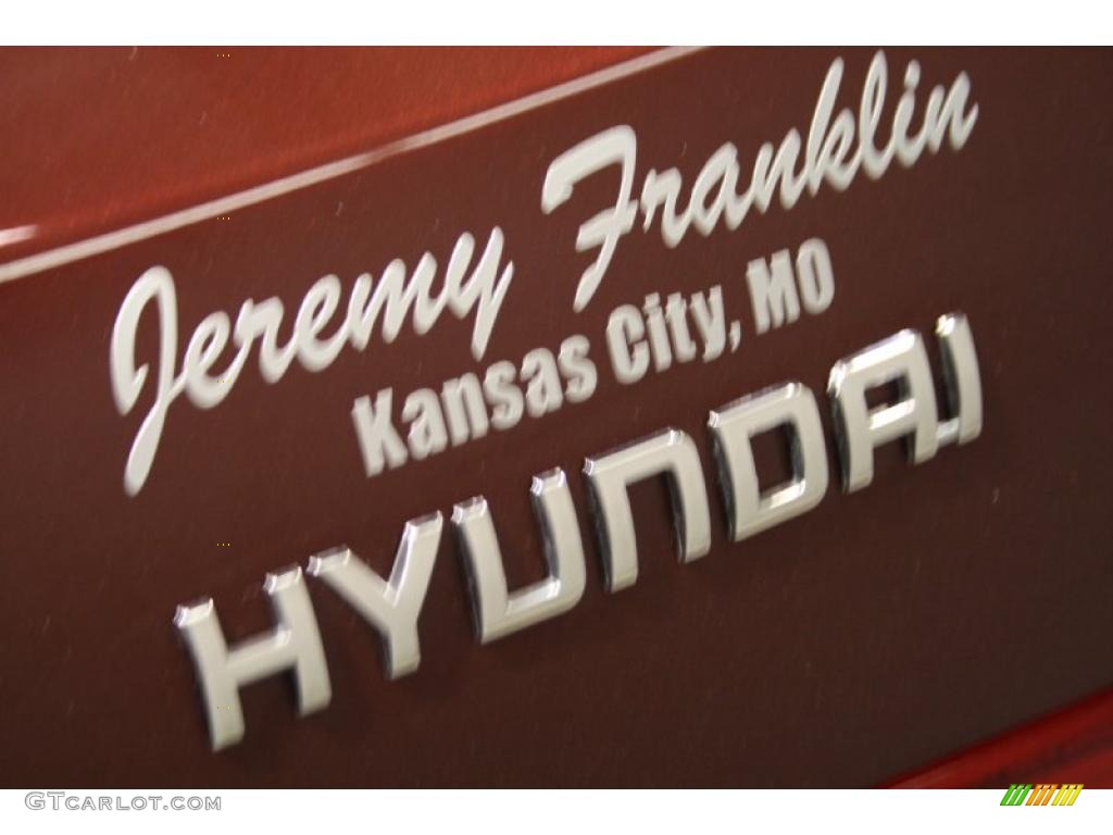 2009 Sonata GLS - Dark Cherry Red / Camel photo #37