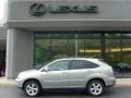 Bamboo Green Pearl - RX 350 AWD Photo No. 2