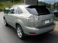 Bamboo Green Pearl - RX 350 AWD Photo No. 3