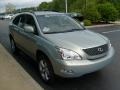 Bamboo Green Pearl - RX 350 AWD Photo No. 6