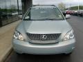 Bamboo Green Pearl - RX 350 AWD Photo No. 7