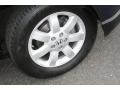 Royal Blue Pearl - CR-V LX Photo No. 17