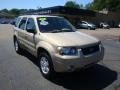 2007 Dune Pearl Metallic Ford Escape Limited 4WD  photo #5