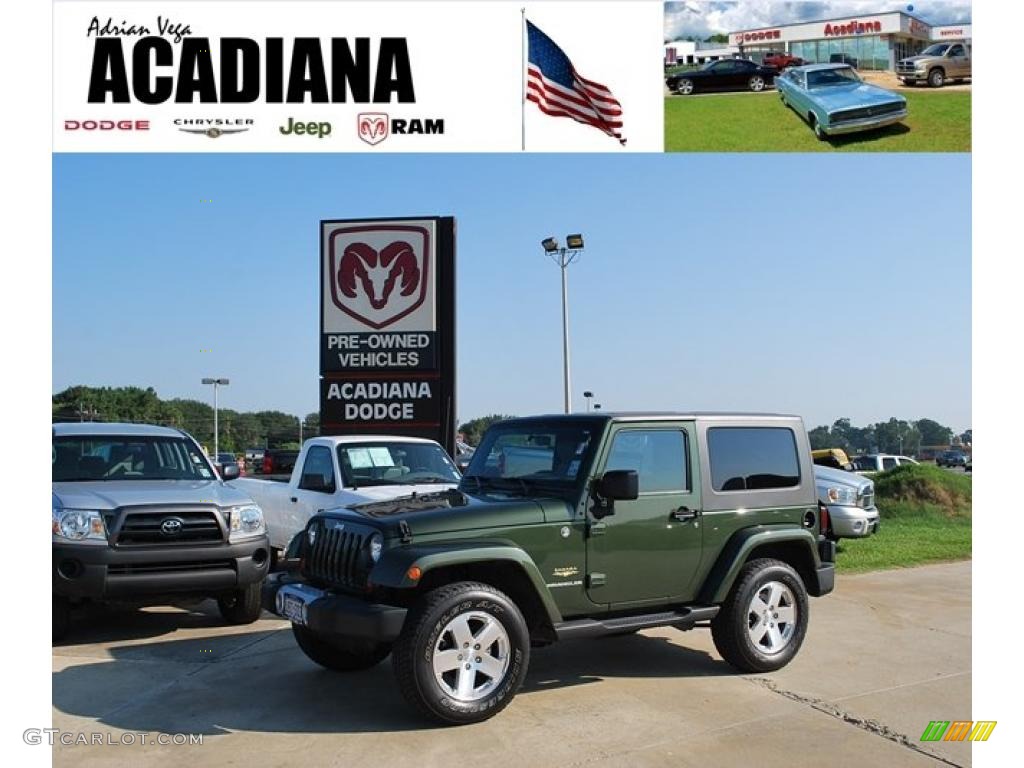 2008 Wrangler Sahara 4x4 - Jeep Green Metallic / Dark Khaki/Medium Khaki photo #1