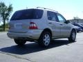 2002 Desert Silver Metallic Mercedes-Benz ML 500 4Matic  photo #7