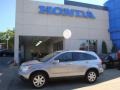 2008 Whistler Silver Metallic Honda CR-V EX-L 4WD  photo #1