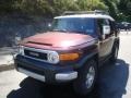 Black Cherry Pearl - FJ Cruiser 4WD Photo No. 11