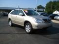 Savannah Beige Metallic - RX 330 AWD Photo No. 7