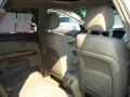 Savannah Beige Metallic - RX 330 AWD Photo No. 16