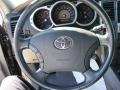 Galactic Gray Mica - 4Runner SR5 Photo No. 35