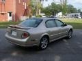 Sunlit Sand Metallic - Maxima SE Photo No. 4