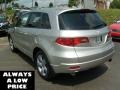 Palladium Metallic - RDX SH-AWD Technology Photo No. 5