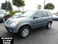 Pewter Pearl - CR-V Special Edition 4WD Photo No. 3