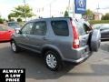 Pewter Pearl - CR-V Special Edition 4WD Photo No. 5