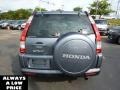 Pewter Pearl - CR-V Special Edition 4WD Photo No. 6