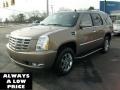 2007 Radiant Bronze Cadillac Escalade AWD  photo #3