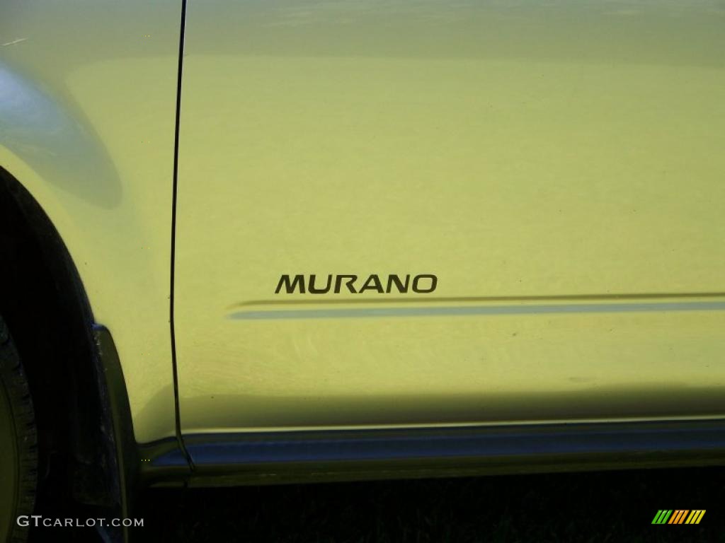 2005 Murano SE AWD - Platinum Metallic / Charcoal photo #9
