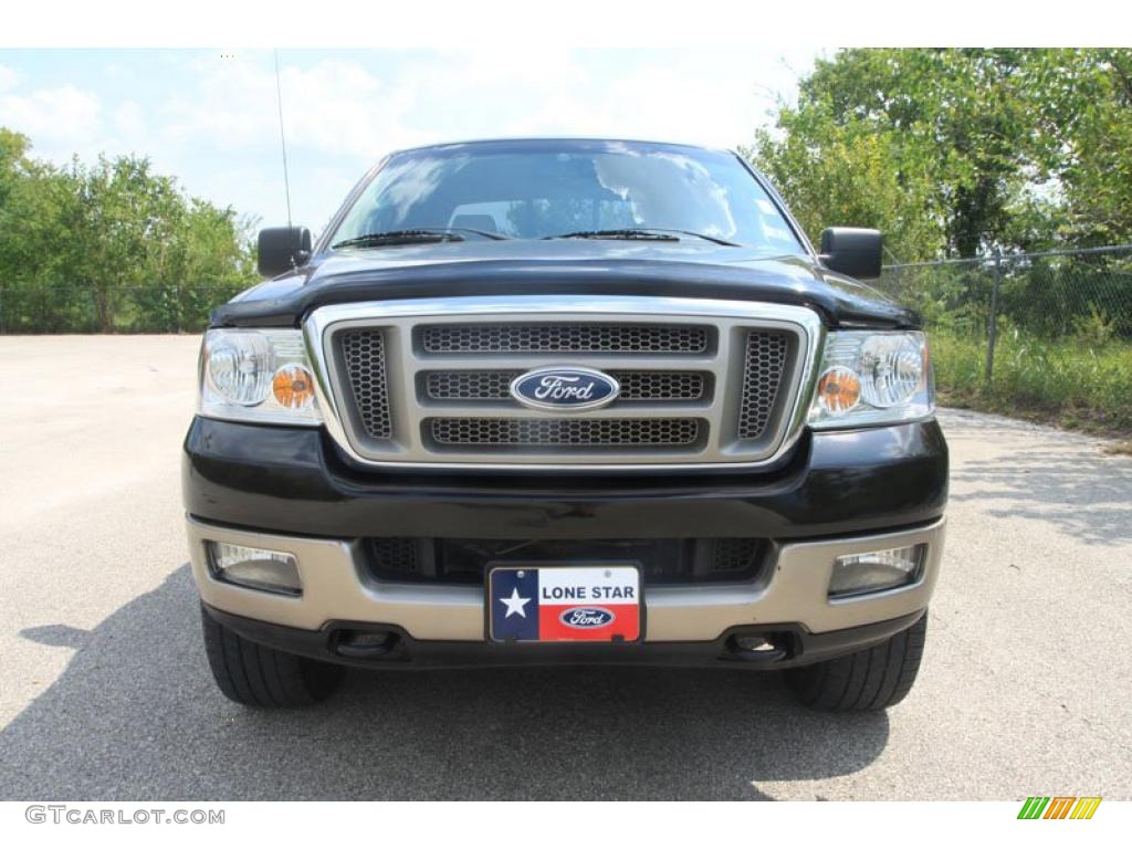 2005 F150 King Ranch SuperCrew 4x4 - Dark Stone Metallic / Tan photo #9