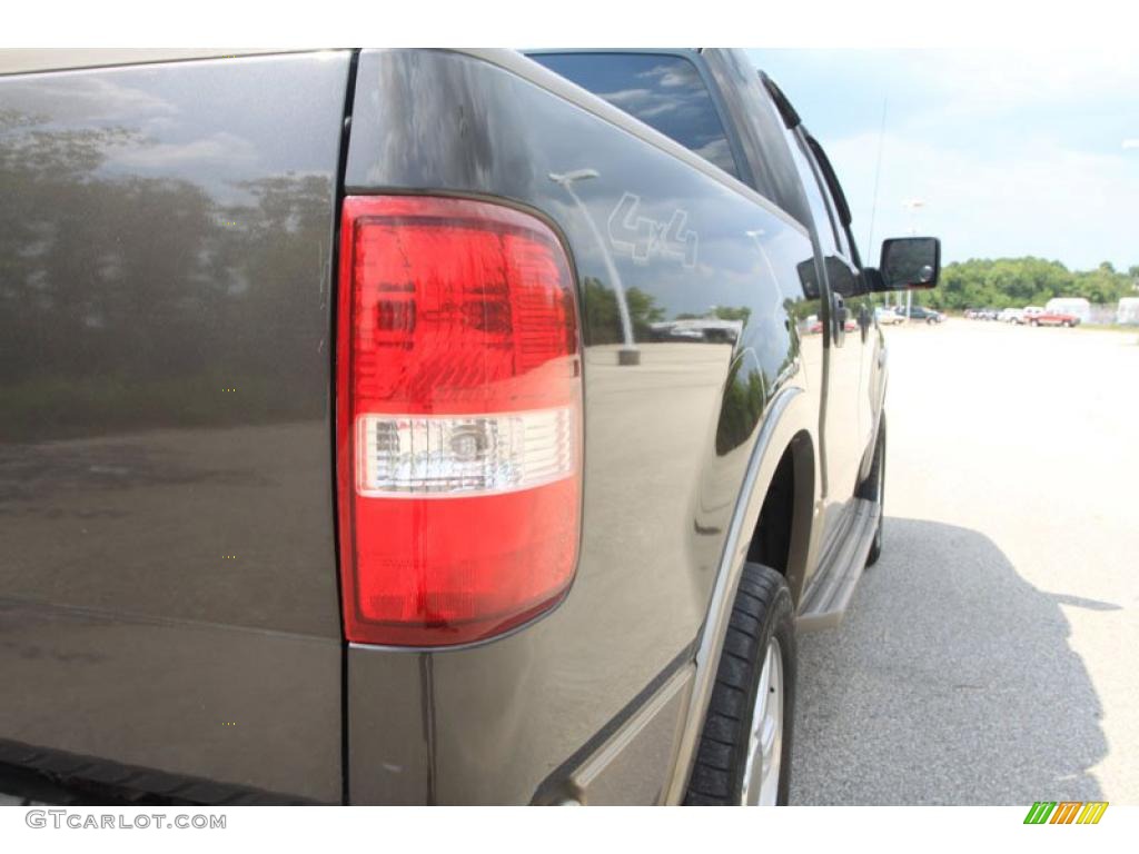 2005 F150 King Ranch SuperCrew 4x4 - Dark Stone Metallic / Tan photo #13