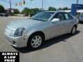 Light Platinum - CTS Sedan Photo No. 3