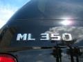 Black - ML 350 4Matic Photo No. 9
