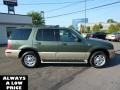 Estate Green Metallic - Mountaineer AWD Photo No. 8