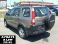 Sahara Sand Metallic - CR-V LX 4WD Photo No. 5