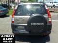 Sahara Sand Metallic - CR-V LX 4WD Photo No. 6