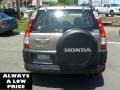 2005 Sahara Sand Metallic Honda CR-V LX 4WD  photo #6