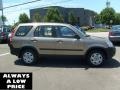 Sahara Sand Metallic - CR-V LX 4WD Photo No. 8