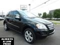 Black - ML 350 4Matic Photo No. 1