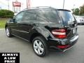 Black - ML 350 4Matic Photo No. 5