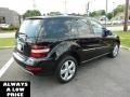 Black - ML 350 4Matic Photo No. 7