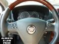 Stealth Gray - CTS Sedan Photo No. 19