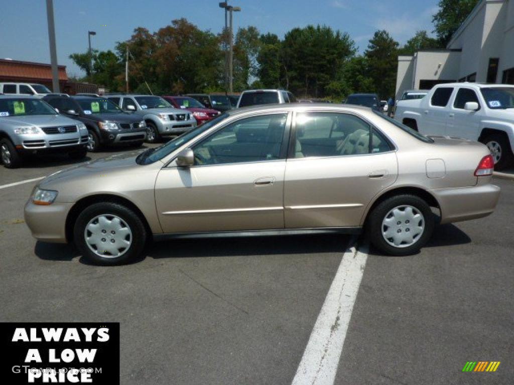 2002 Accord LX Sedan - Naples Gold Metallic / Ivory photo #4