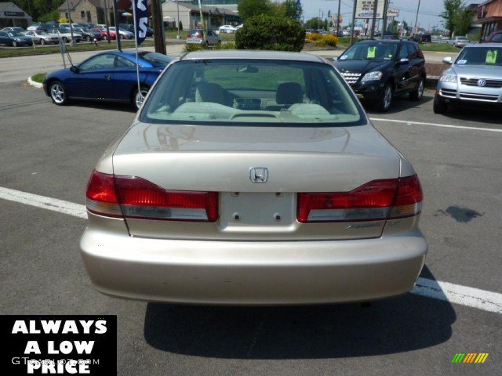 2002 Accord LX Sedan - Naples Gold Metallic / Ivory photo #6