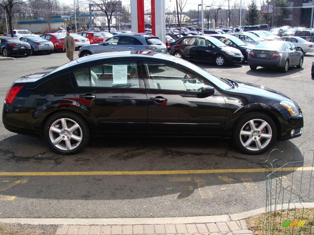 2004 Maxima 3.5 SE - Onyx Black / Frost Gray photo #4