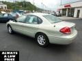 Gold Ash Metallic - Taurus SEL Photo No. 5