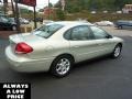 Gold Ash Metallic - Taurus SEL Photo No. 7