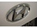 Powder White Pearl - Sonata GLS Photo No. 38