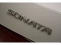Powder White Pearl - Sonata GLS Photo No. 40